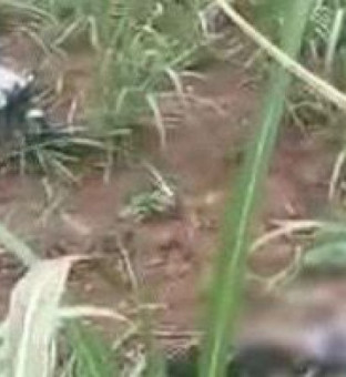 Acidente aconteceu na RJ 224 