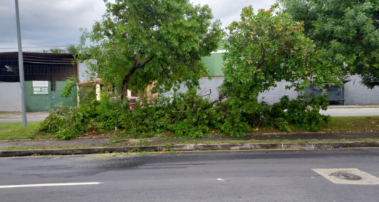 Ciclovia e pista desobstruída com vegetal condicionado no canteiro central