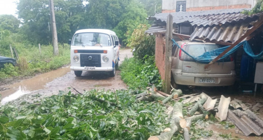 Remoo do vegetal sobre cobertura