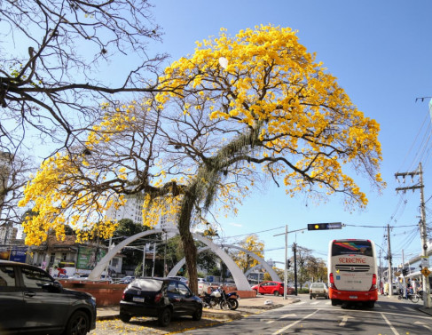 Fotos: Rodrigo Silveira 