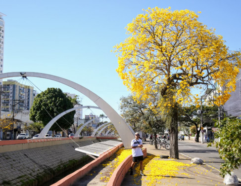 Fotos: Rodrigo Silveira 