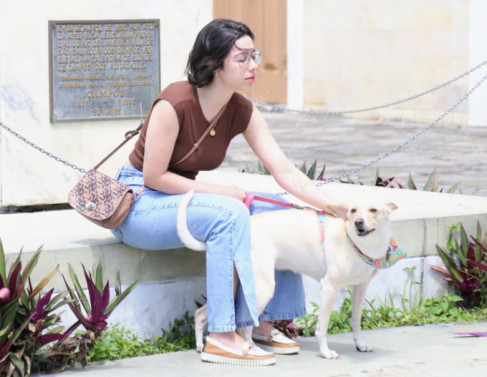 Dia de São Francisco de Assis 