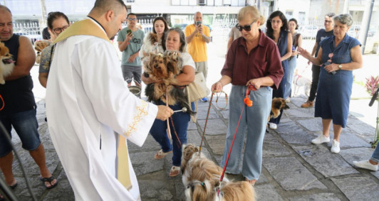 Dia de São Francisco de Assis 