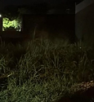 Corpo encontrado em terreno em Guarus 