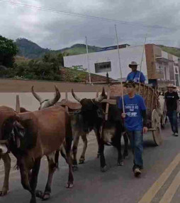 Desfile em Natividade