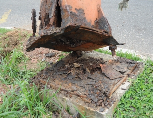 Ao teve incio nesta manh