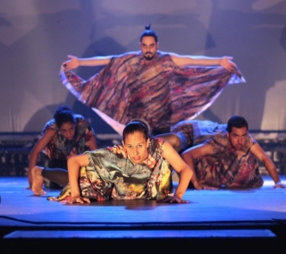 Divulga&ccedil;&atilde;o 