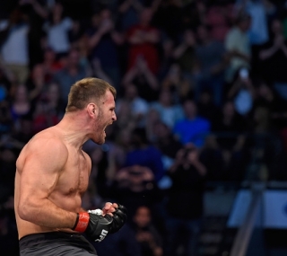 Cigano foi noucateado