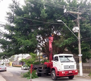 Remoção na avenida Pelinca