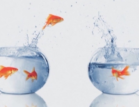 vamos trocar de lugar?