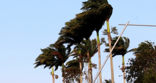 Forte ventania chegou à região