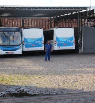 Paralisa&ccedil;&atilde;o Rogil