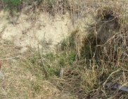 Nascente seca em Rio Preto no assentamento Novo Horizonte