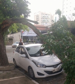 Caso aconteceu na rua Almirante Vandercok
