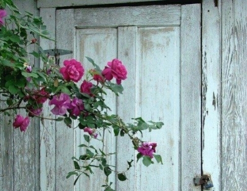 esperan�a a encontrar