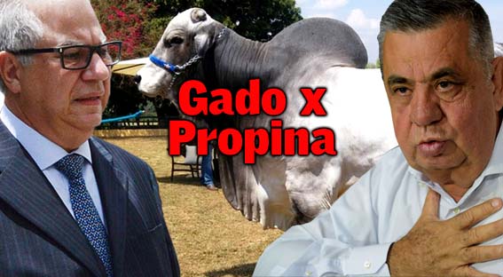 Jonas comprou 600 mil de gado de Picciani e pagou 500 mil com dinheiro de propina em suaves presta��es de 50 mil reais