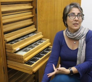 Sônia Guimarães teme interrupções em estudos