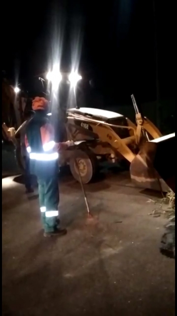 Equipe removendo o corpo do animal 