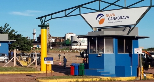 Incio da safra na Nova Canabrava (Foto: Genilson Pessanha)