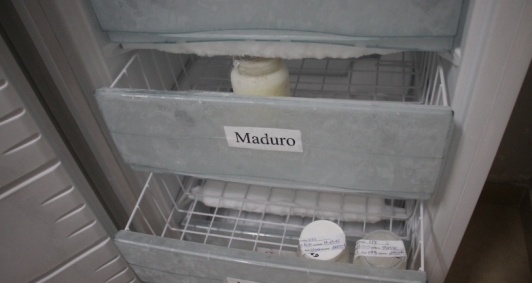 Banco de leite do HPC (Foto: Isaías Fernandes)