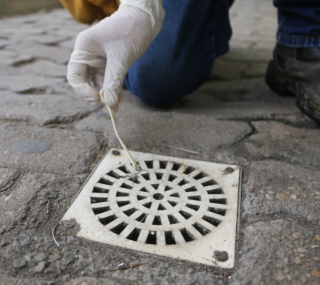 Levantamento seguir&aacute; at&eacute; a pr&oacute;xima sexta-feira (07)