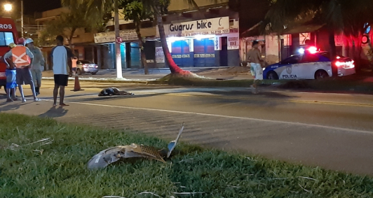 Mulher morreu atropelada na BR 101