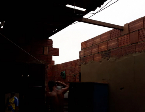 Vento derruba �rvores e destelha casas em SFI