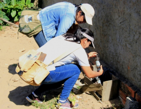 Agentes de endemias visitam casas e quintais em busca de possveis focos do vetor