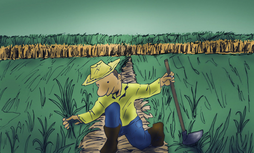 Livro 'Na Terra dos Heros' ganhou adaptao para o universo das HQ's