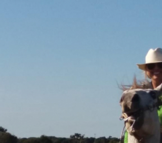 Artigo cita amor pelos animais para abordar tambm as relaes pessoais