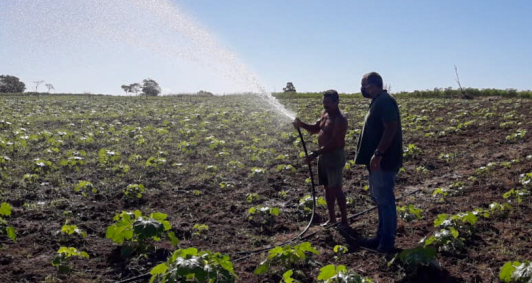 Apoio à agricultura familiar