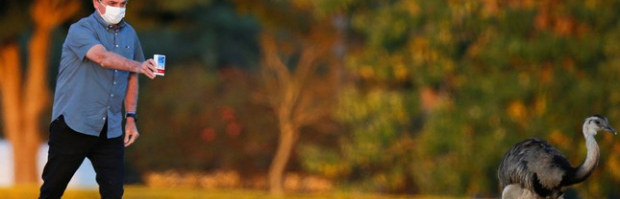 Bolsonaro e a ema envergonhada - O presidente Jair Bolsonaro (sem partido) flagrado nesta quinta (23) exibindo uma caixa de cloroquina para as emas que vivem no Palcio da Alvorada. A cena foi flagrada por reprteres fotogrficos que cobriam a movimentao presidencial no local.