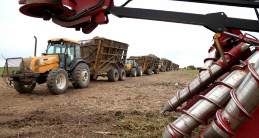 Safra movimenta R$ 500 milh&otilde;es na economia de Campos