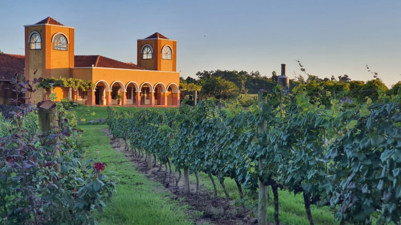 Vin&iacute;cola Dezem