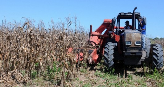 Programa Rio Milho em Quissam&atilde;