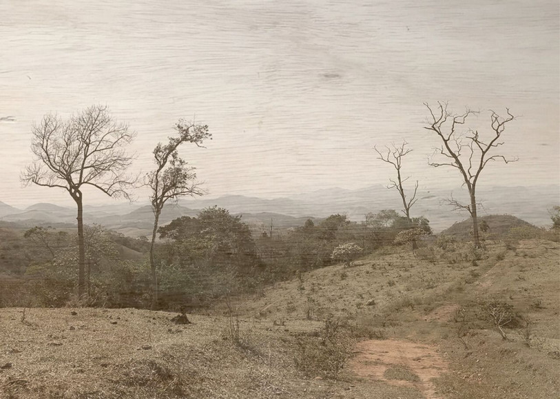 Imagem da exposição 'Terra Vermelha' no Sesc Campos