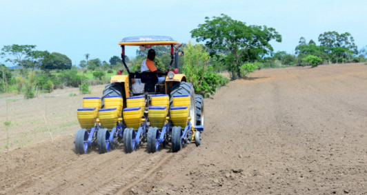 Experimento de soja em Quissamã