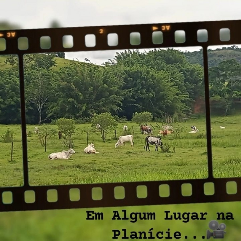 Filme será gravado na zona rural de Campos