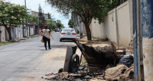 Mutir&atilde;o contra Dengue no Parque Prazeres (Foto: Genilson Pessanha)