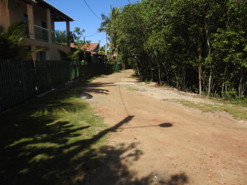 Rua no interior do manguezal do rio Guaxindiba separando as casas do mangue