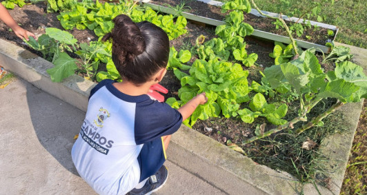 Hortas pedaggicas (Foto: Caroline Pinheiro)