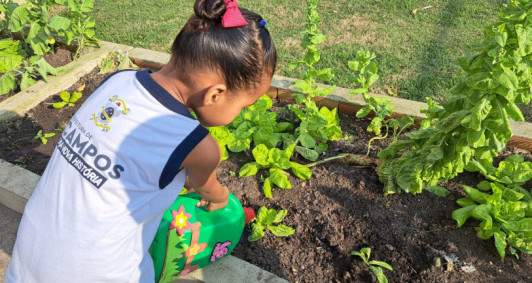 Hortas pedaggicas (Foto: Caroline Pinheiro)