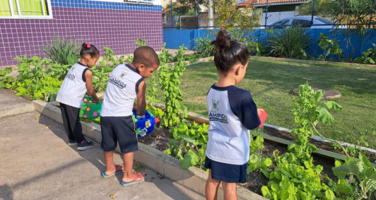 Hortas pedaggicas (Foto: Caroline Pinheiro)