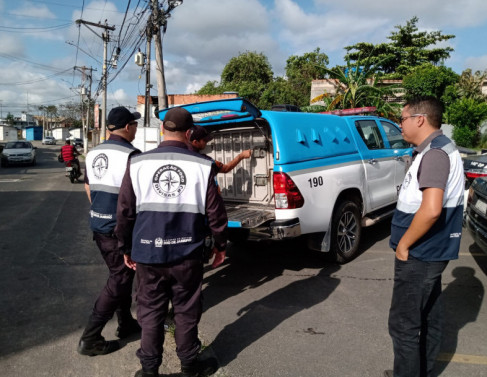 Suspeito de tentativa de assalto e agressão em Campos 