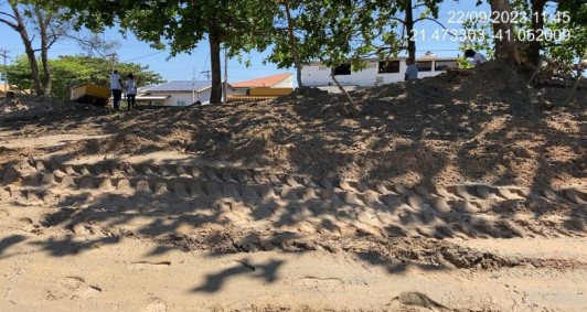 Corpo de baleia  enterrado 