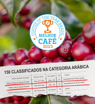 150 classificados na categoria arábica