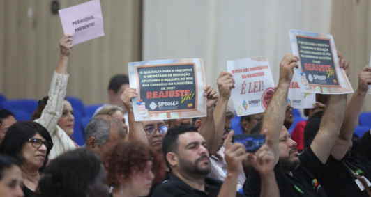 Audi�ncia p�blica na C�mara (Foto: Rodrigo Silveira)