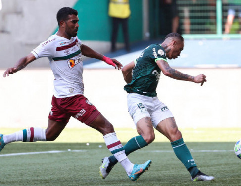 Palmeiras e Fluminense