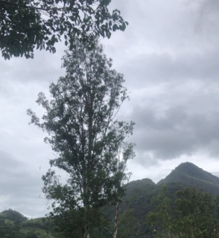 Tempo encoberto em &aacute;rea rural de S&atilde;o Fid&eacute;lis