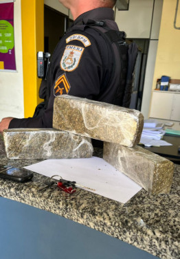 Prontas para serem periciadas